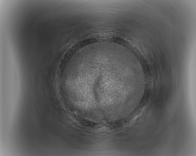 X0000115500913200911131318