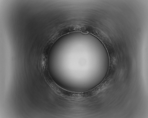 X0000115500914200911131318