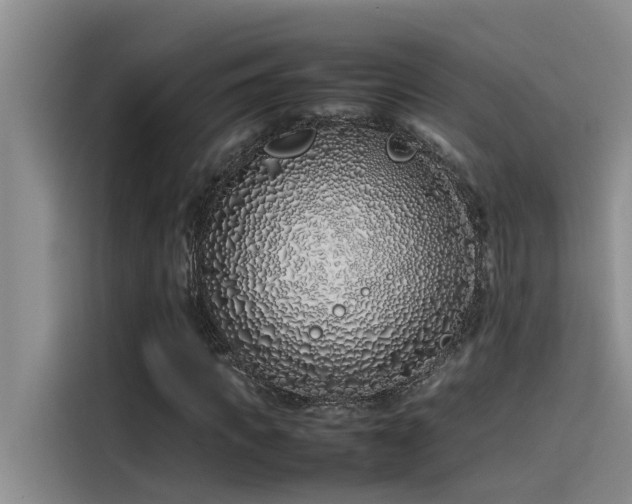 X0000115500917200911131318