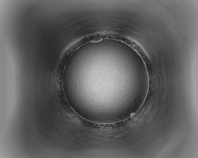 X0000115500919200911131318