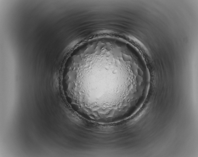 X0000115500921200911131318