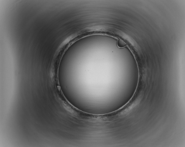 X0000115500922200911131318