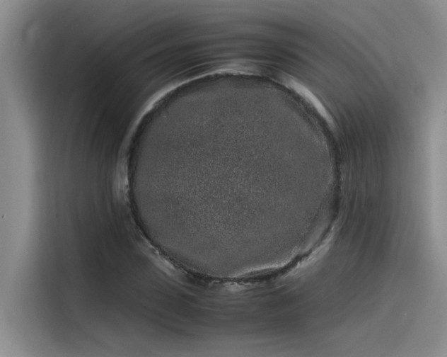 X0000115500923200911131318