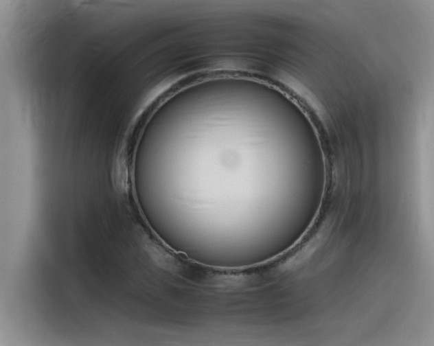 X0000115500925200911131318