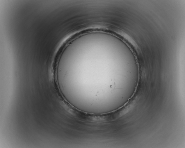 X0000115500927200911131318