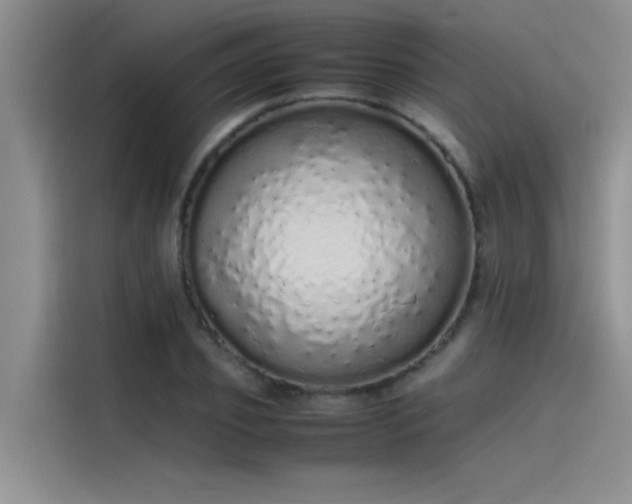 X0000115500933200911131318