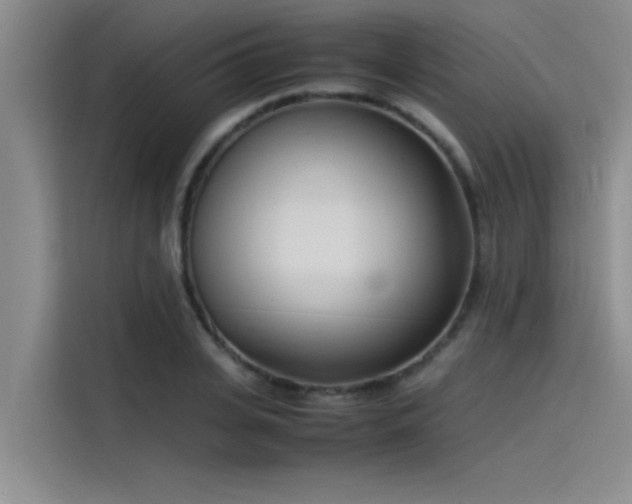 X0000115500935200911131318
