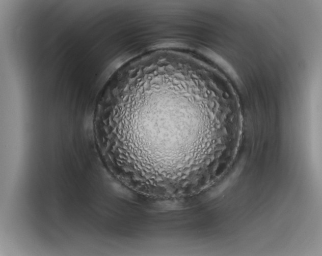 X0000115500937200911131318