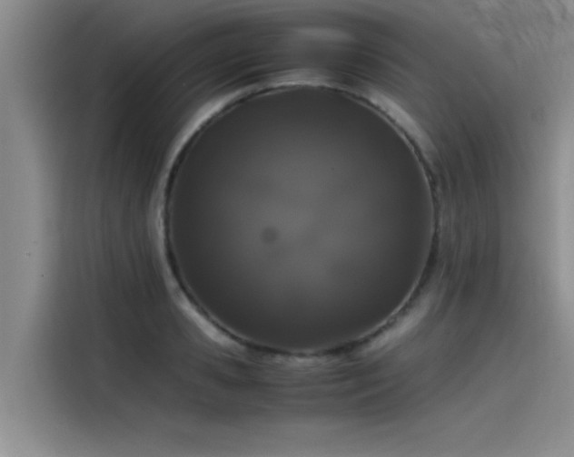 X0000115500941200911131318