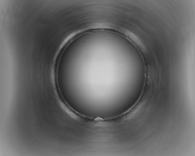 X0000115500942200911131318