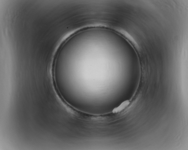 X0000115500943200911131318