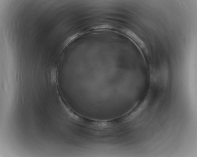 X0000115500945200911131318