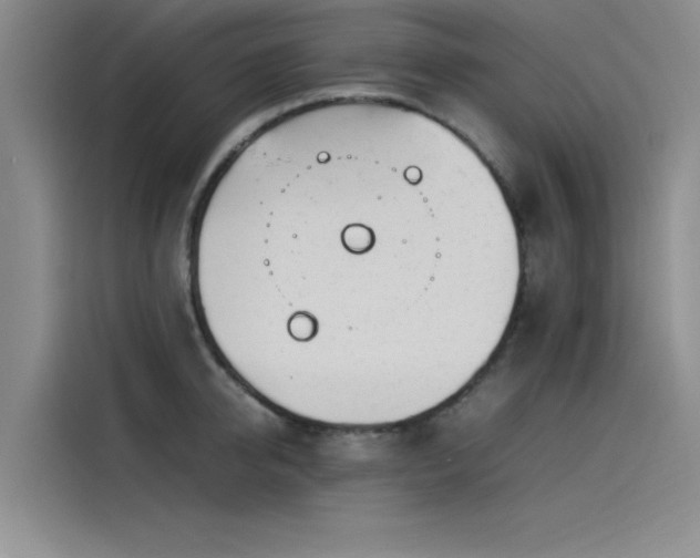 X0000115500950200911131318