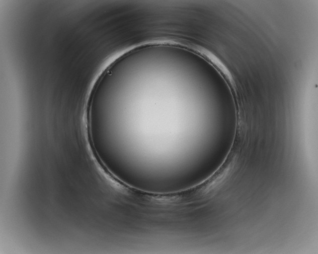 X0000115500951200911131318
