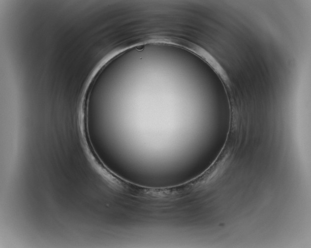 X0000115500955200911131318