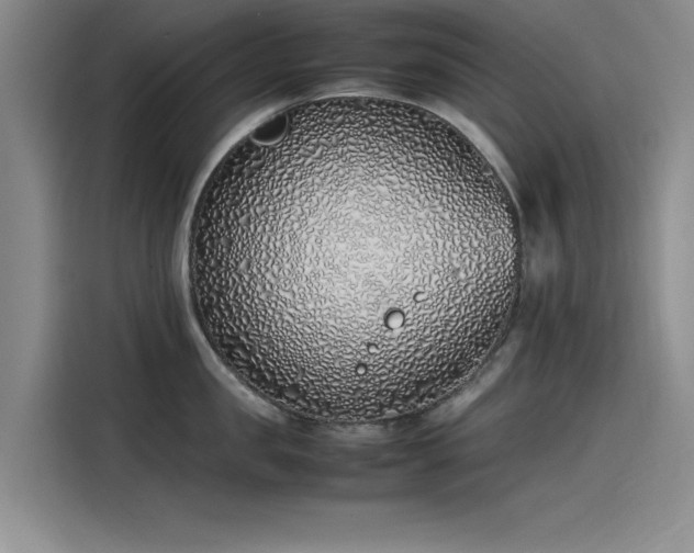X0000115500957200911131318
