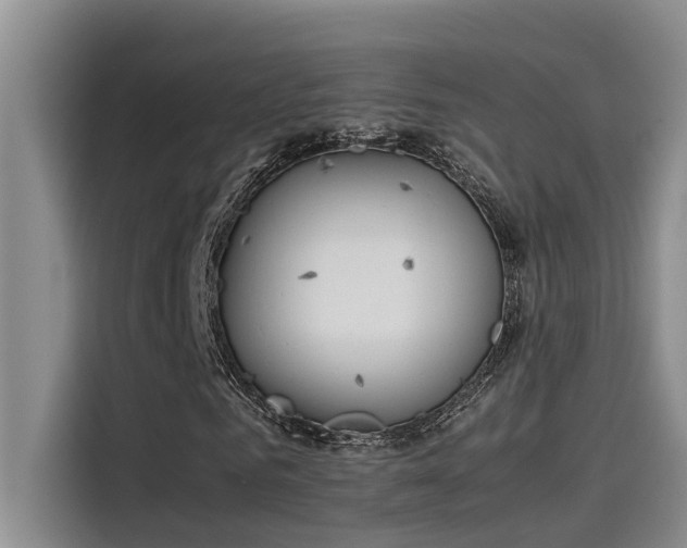 X0000115500961200911131318
