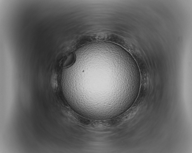 X0000115500962200911131318
