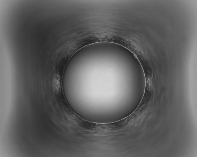 X0000115500963200911131318