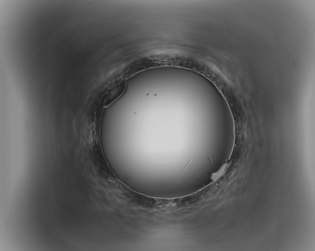 X0000115500965200911131318