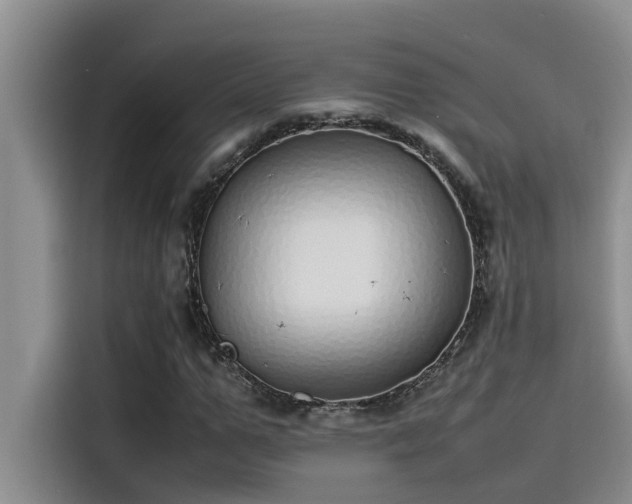 X0000115500967200911131318