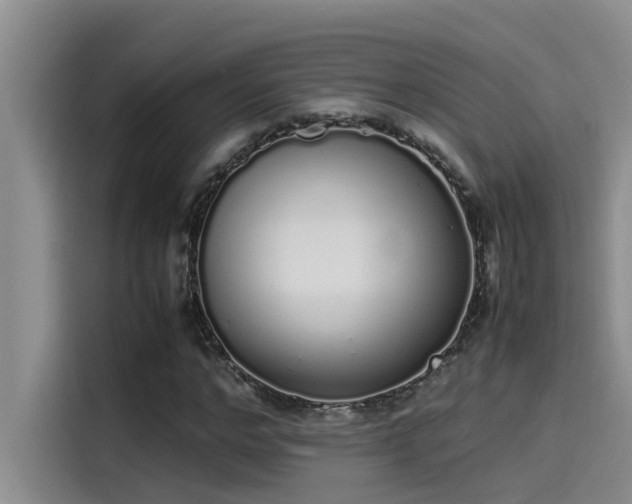 X0000115500968200911131318