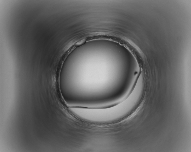 X0000115500969200911131318