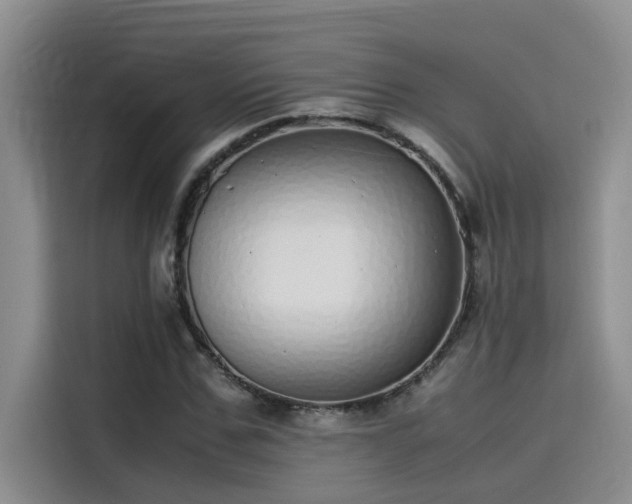 X0000115500971200911131318