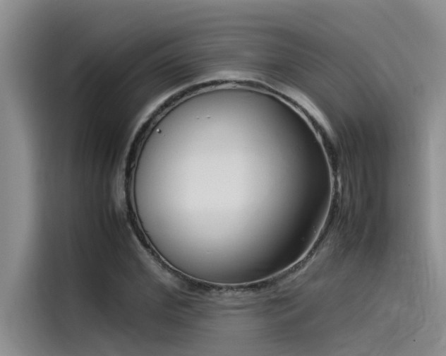 X0000115500972200911131318