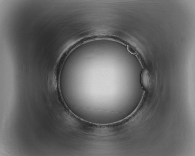 X0000115500973200911131317