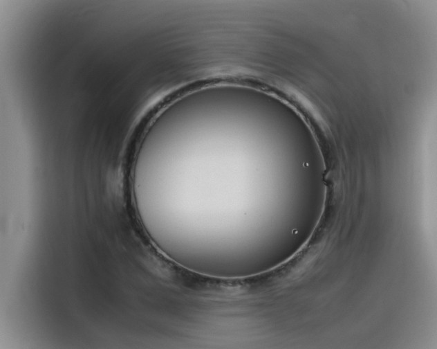 X0000115500975200911131317