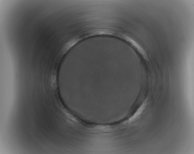X0000115500977200911131317