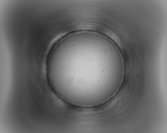 X0000115500979200911131317