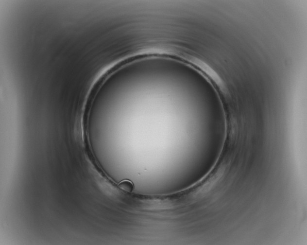 X0000115500980200911131317