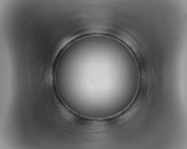 X0000115500981200911131317