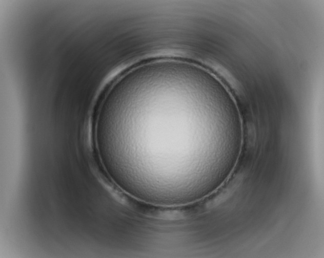 X0000115500982200911131317