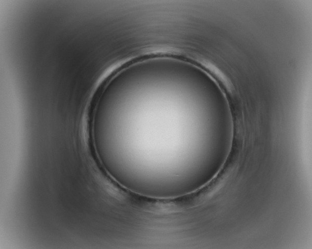 X0000115500983200911131317