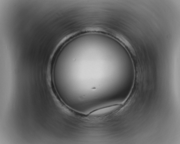 X0000115500984200911131317