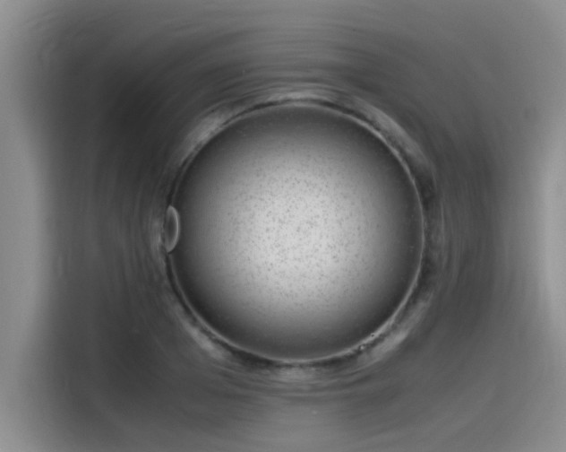 X0000115500985200911131317