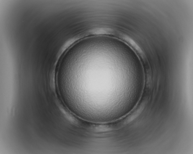 X0000115500986200911131317