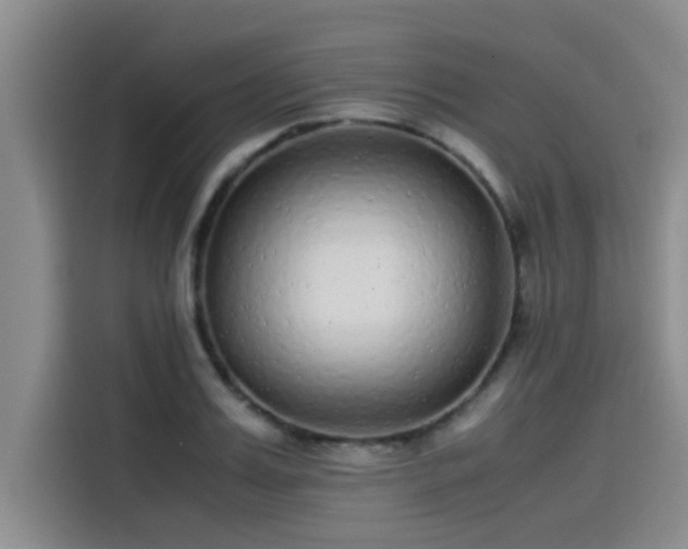 X0000115500987200911131317