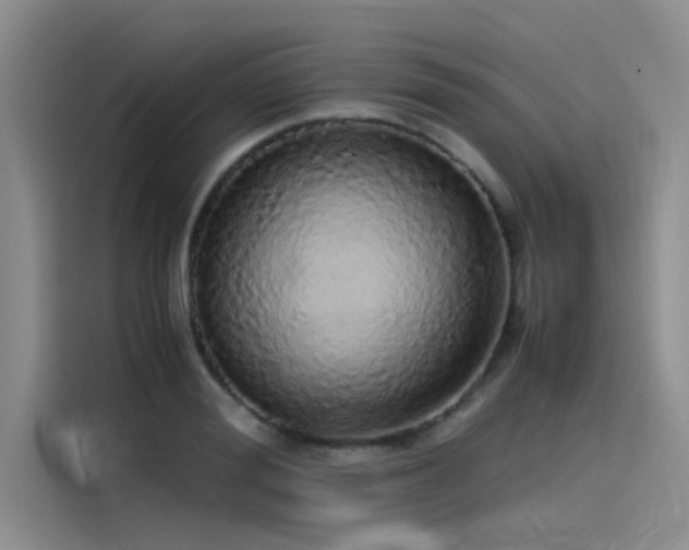 X0000115500988200911131317