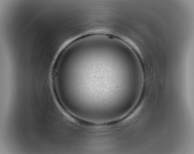 X0000115500989200911131317