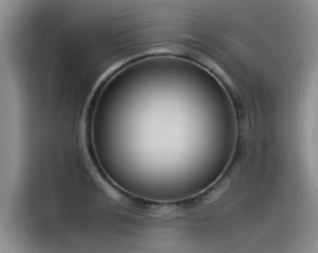 X0000115500991200911131317