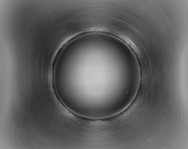 X0000115500992200911131317