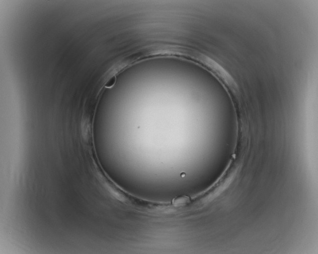 X0000115500993200911131317