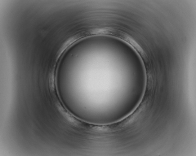 X0000115500994200911131317