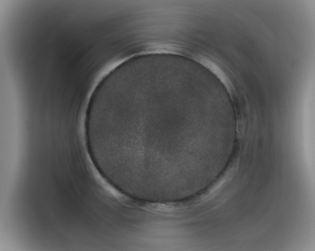 X0000115500995200911131317