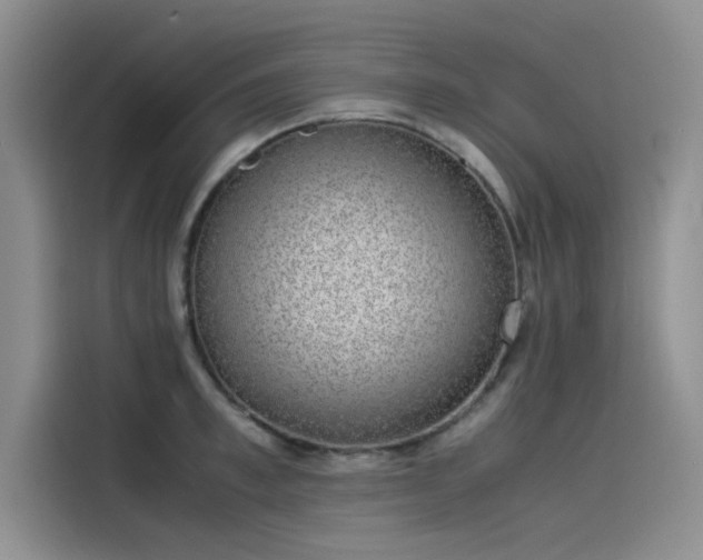 X0000115500997200911131317