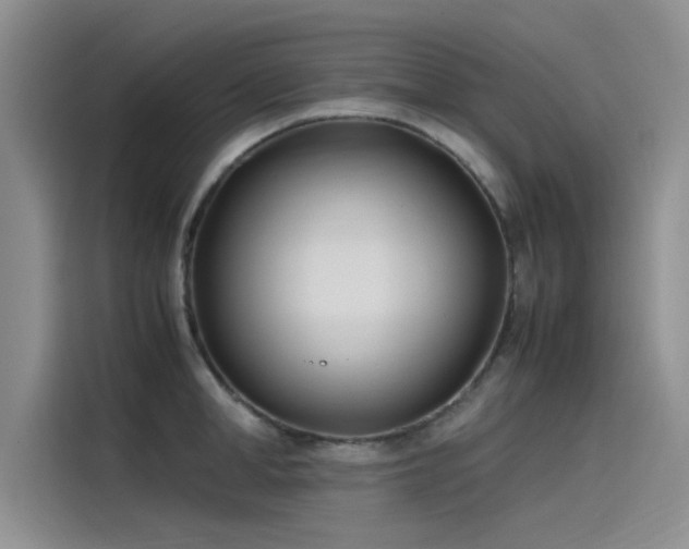 X0000115500998200911131317